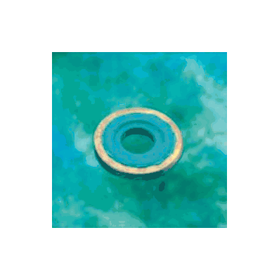 Viton / Brass Washer Seal - Seal, Washer (10/