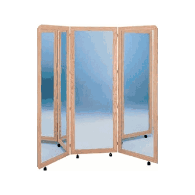 Wall Mount, Mirror