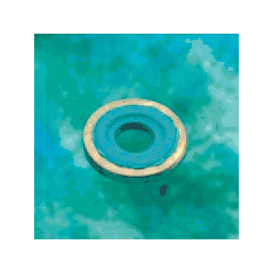 Washer Seal, Cga, Viton Molded Onto Brass