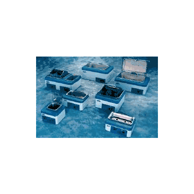 Water Bath Fisher Scientific Isotemp - Bath