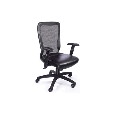 Web Chair Tera With Arms - Chair, High Back