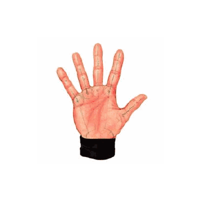 Wrist Widget, One Sz F/Rt/Lt Hnd Lf - - Samm