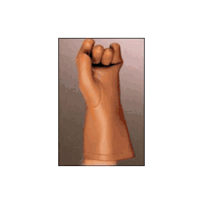 X-ray Glove Tri-rad Nonsterile Powder Free L