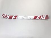 Grenna Polkagriskokeri Large Polkagris (Peppermint) Candy Stick