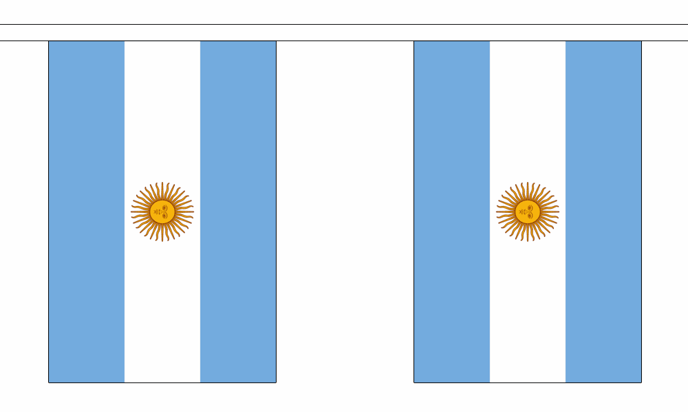 Argentina String Flag Bunting