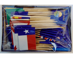 Assorted State Flag Toothpicks - All 50 states