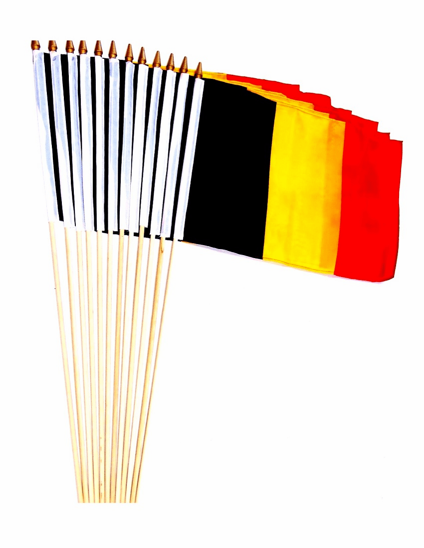 Belgium 12" x 18" Stick Flags