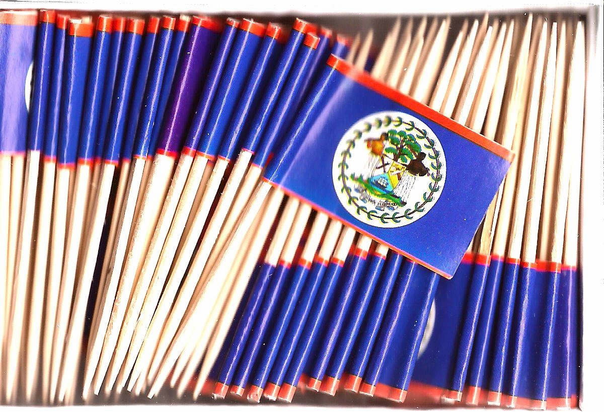 Belize Flag Tooithpicks