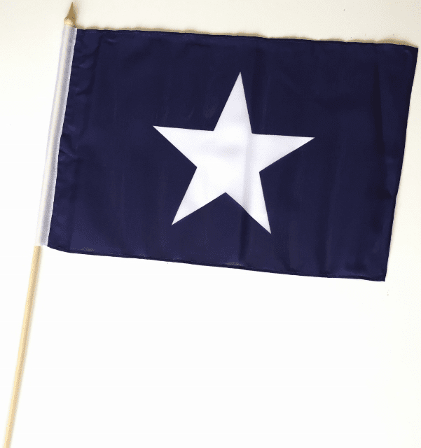 Bonnie Blue 12"x18" Stick Flags