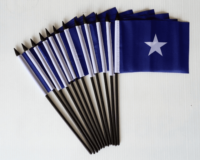 Bonnie Blue Miniature Flag