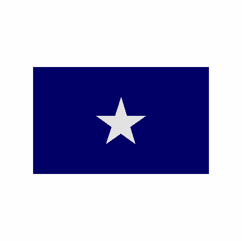 Bonnie Blue Polyester Flag 3 X 5