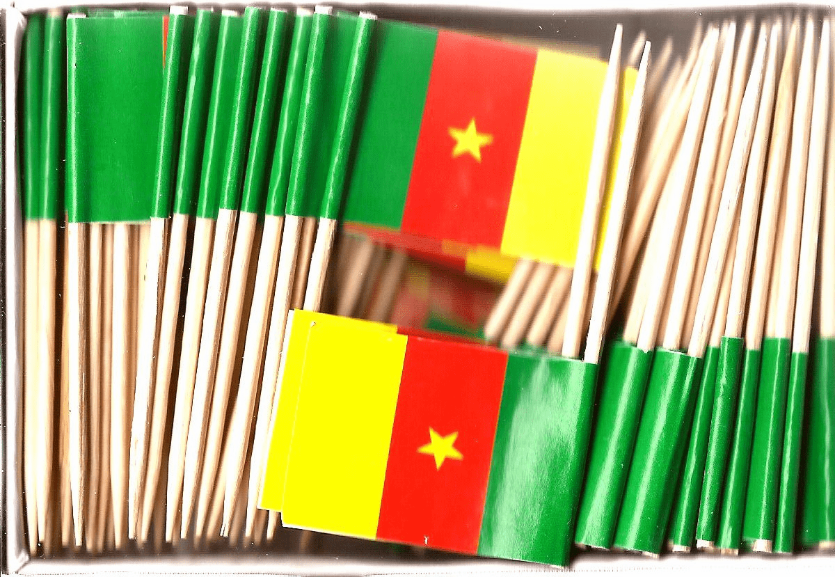 Cameroon Flag Toothpicks