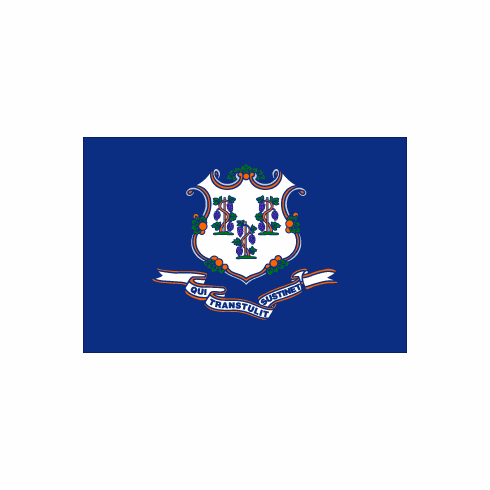 Connecticut Polyester Flag - 3 X 5