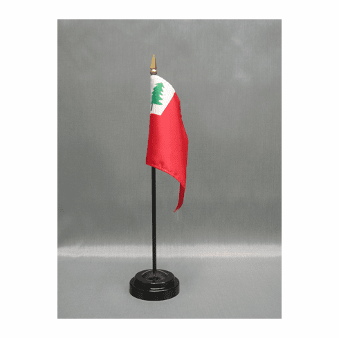 Continental Miniature Flag