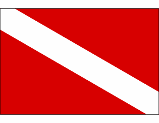 Diver Down Polyester Flag 3 X 5