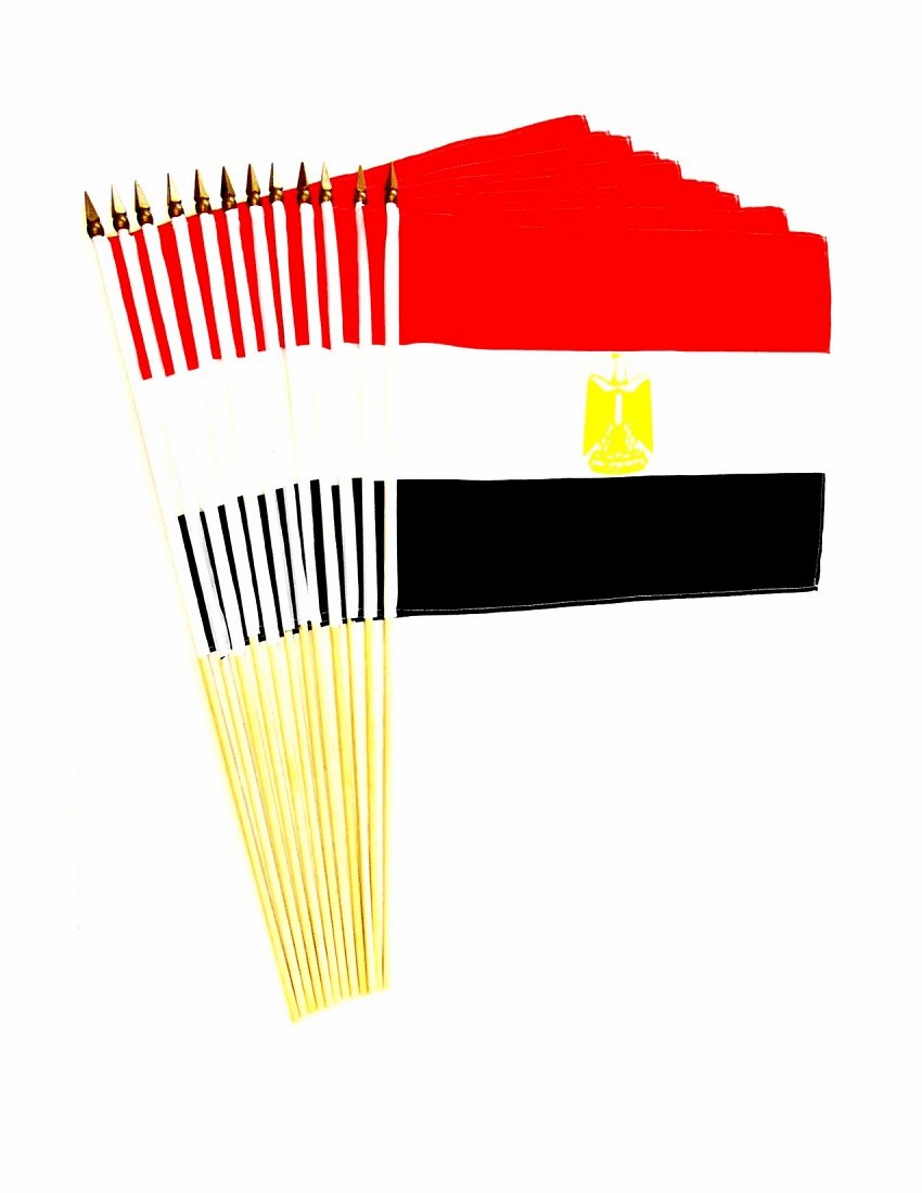 Egypt 12" x 18" Stick Flags