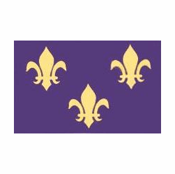 Fleur-de-Lis 3 X 5