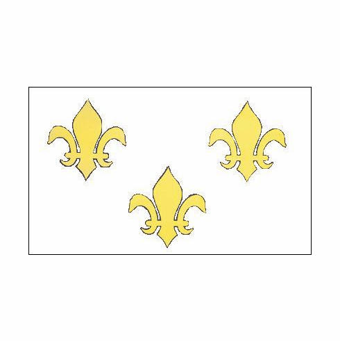 Fleur De Lis White 3 x 5