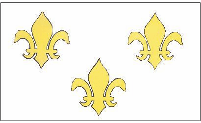 Fleur De Lis White 3 x 5
