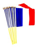 France 12" x 18" Stick Flags