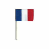 France Cotton Mini Flags