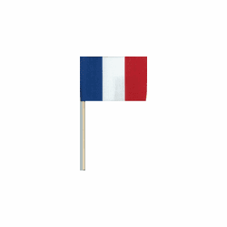 France Cotton Mini Flags