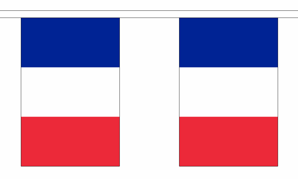 France String Flag Bunting