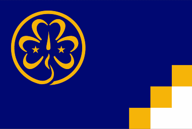 Girl Scout Flag 3 x 5