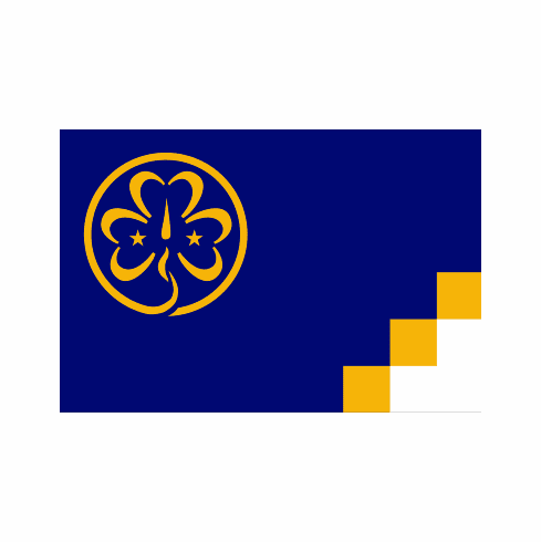 Girl Scout Flag 3 x 5