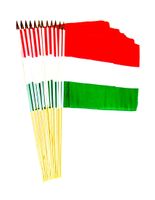 Hungary 12" x 18" Stick Flags