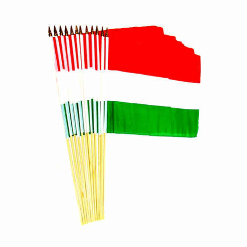 Hungary 12" x 18" Stick Flags
