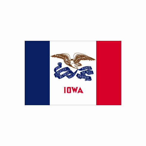 Iowa Polyester Flag - 3 X 5