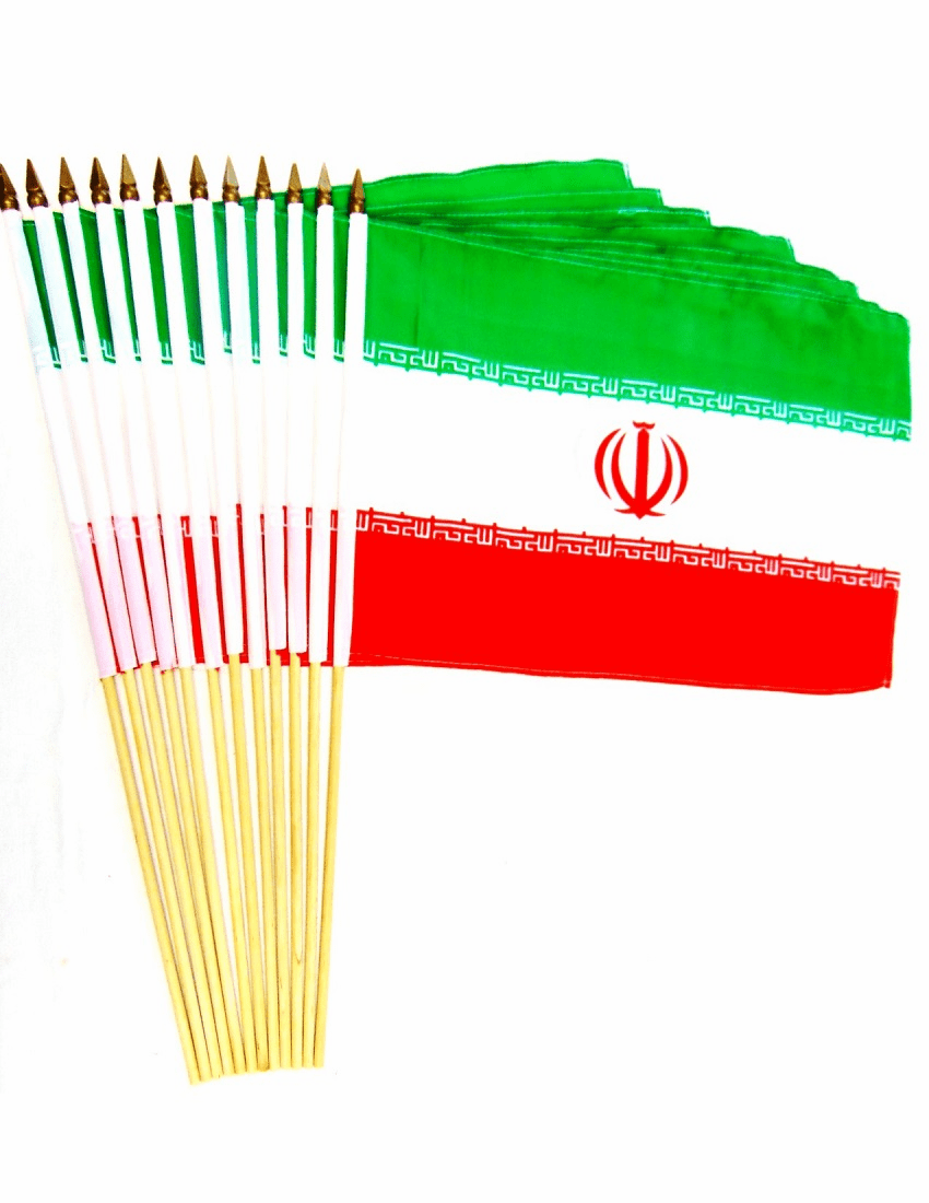 Iran 12" x 18" Stick Flags
