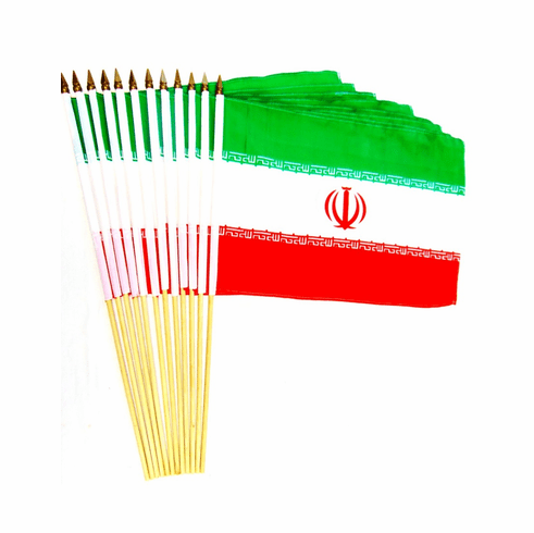 Iran 12" x 18" Stick Flags