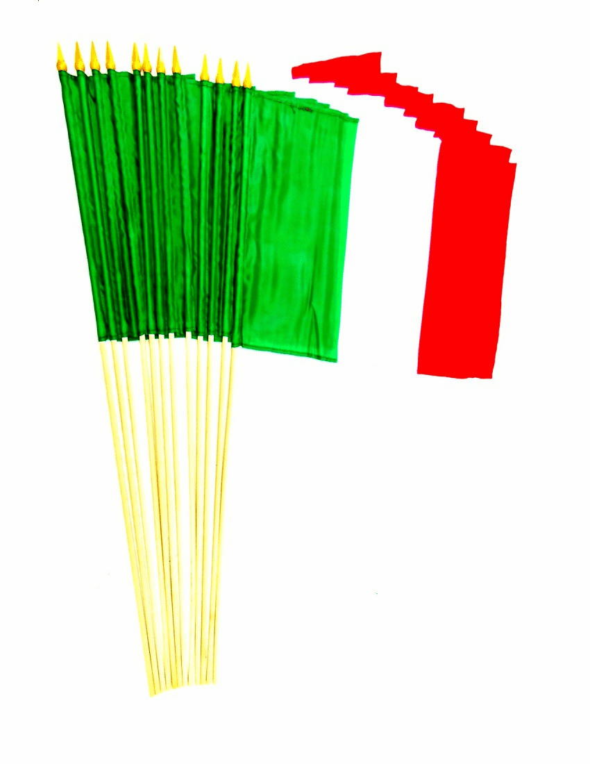 Italy 12" x 18" Stick Flags