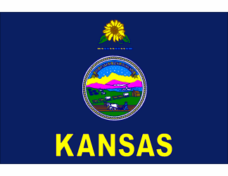 Kansas Polyester Flag - 3 X 5