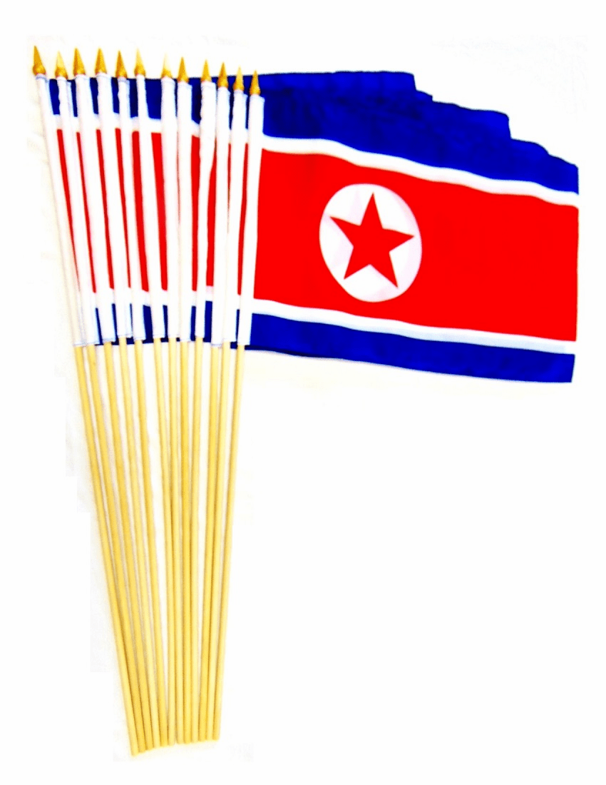 Korea, North 12" x 18" Stick Flags