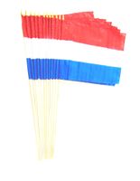 Luxembourg 12" x 18" Stick Flags