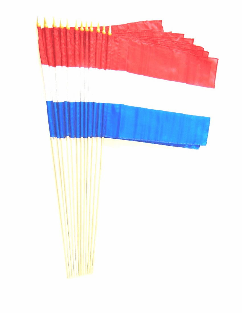 Luxembourg 12" x 18" Stick Flags