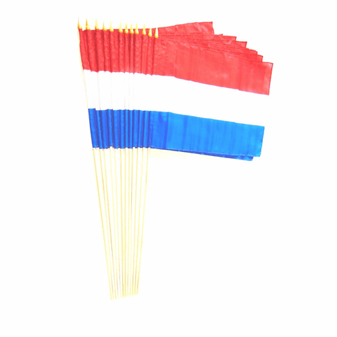 Luxembourg 12" x 18" Stick Flags
