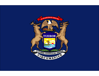 Michigan Polyester Flag - 3 X 5