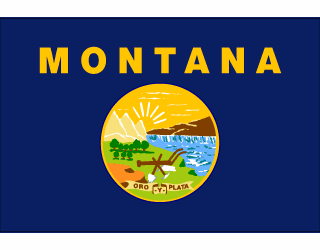 Montana Polyester Flag - 3 X 5