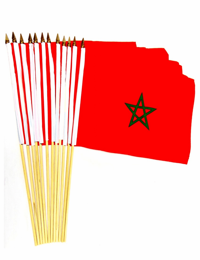 Morocco 12" x 18" Stick Flags