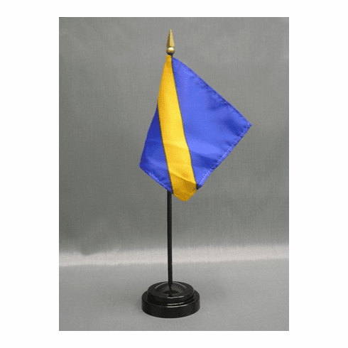 Move to the Outside Miniature Flag