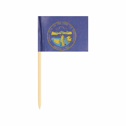 Nebraska Toothpick Flags