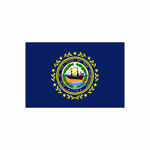 New Hampshire Polyester Flag - 3 X 5