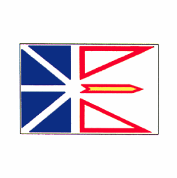 Newfoundland Polyester Flag 3 X 5