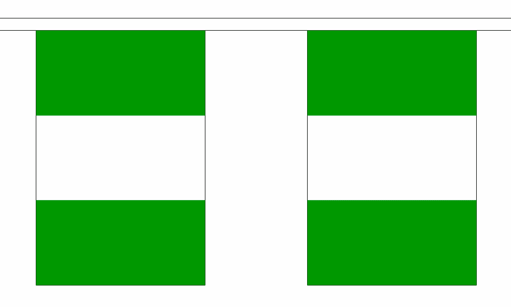Nigeria String Flag Bunting