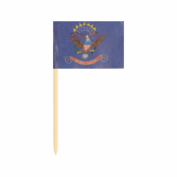 North Dakota Toothpick Flags