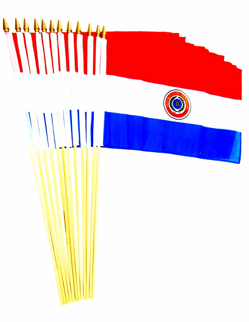 Paraguay 12" x 18" Stick Flags